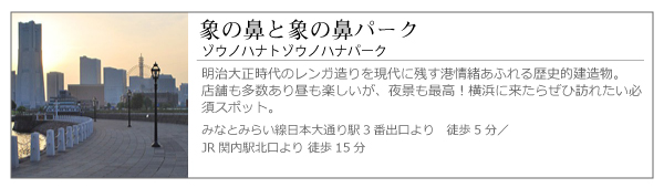 象の鼻と象の鼻パーク