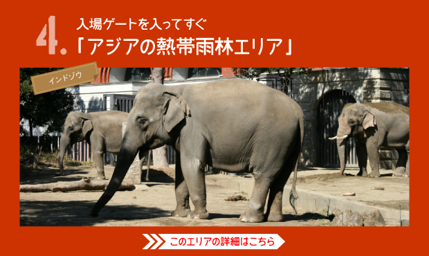 よこはま動物園ズーラシア