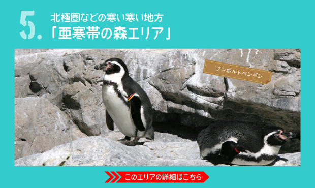 よこはま動物園ズーラシア