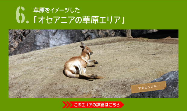 よこはま動物園ズーラシア