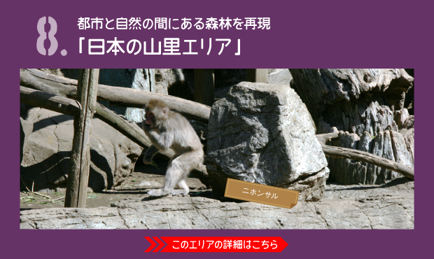 よこはま動物園ズーラシア