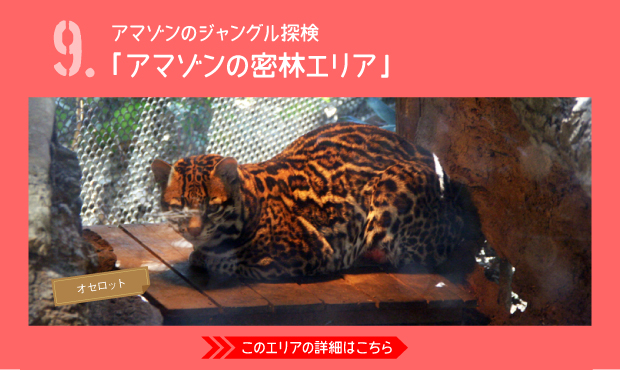 よこはま動物園ズーラシア