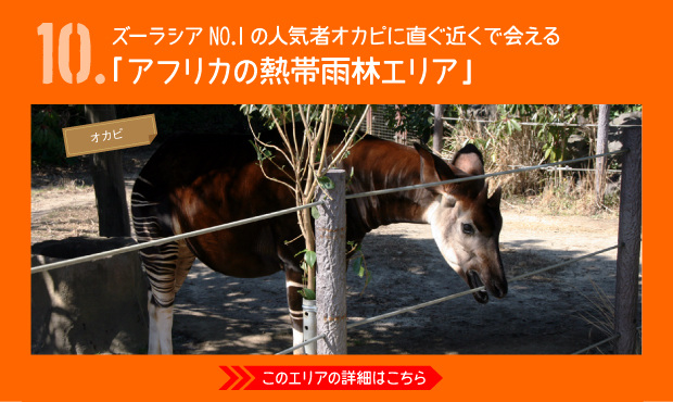 よこはま動物園ズーラシア