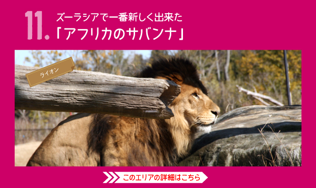 よこはま動物園ズーラシア