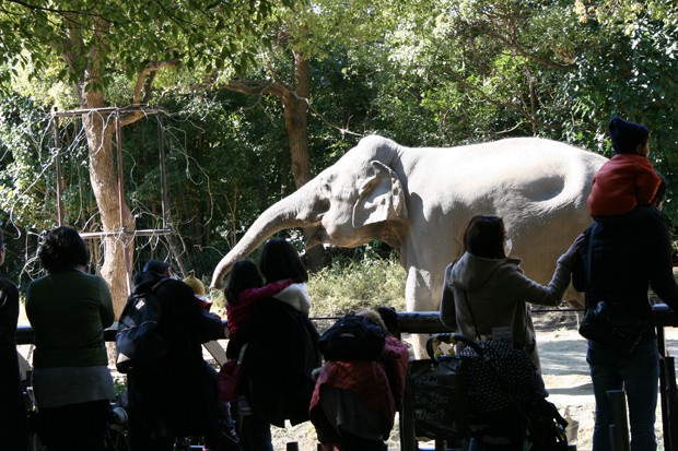 よこはま動物園ズーラシア