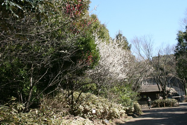 よこはま動物園ズーラシア